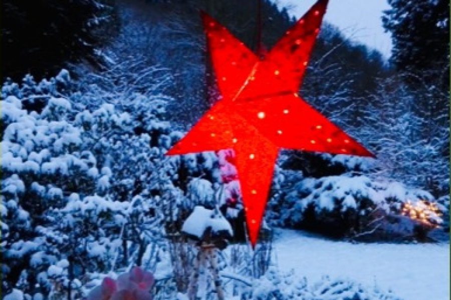 Adventszeit_2020_01 Adventszeit_2020_01