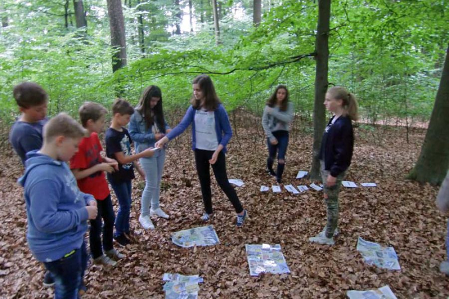 Bio_Wald_2017_06 Bio_Wald_2017_06