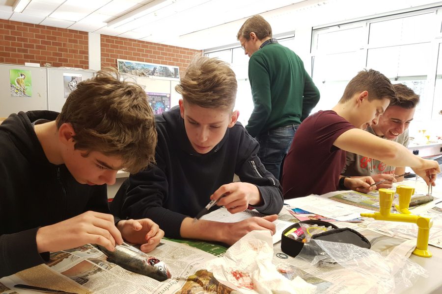 Forellen-2019_04 Forellen-2019_04