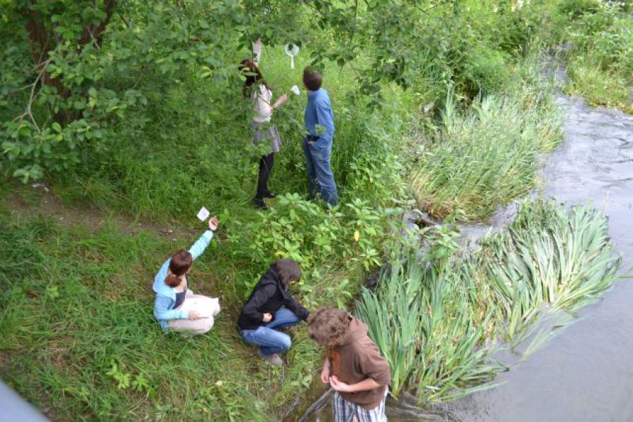 gewaesser_2012_1_01-jpg gewaesser_2012_1_01-jpg