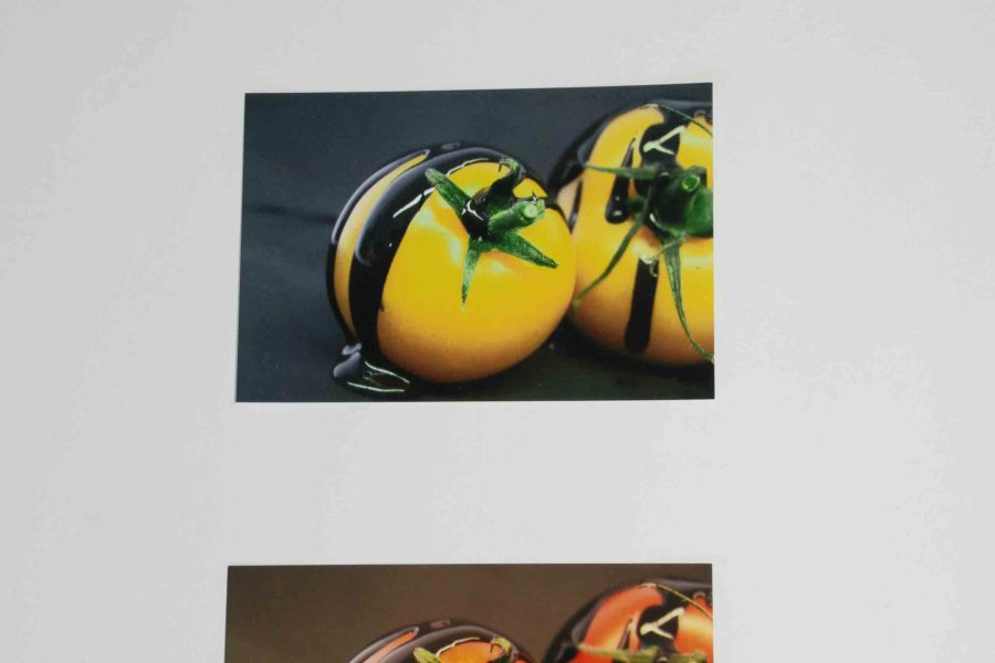 Kunst-Fotographie_2010_01