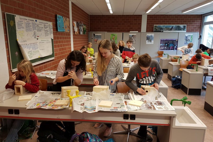 Nistkästen_01 Nistkästen_01