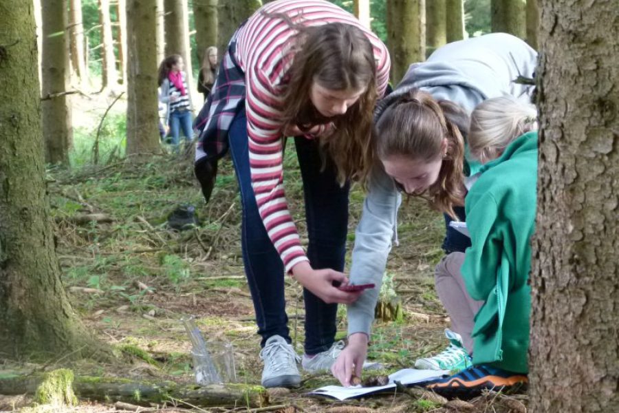 Waldoekologie-2014_05 Waldoekologie-2014_05