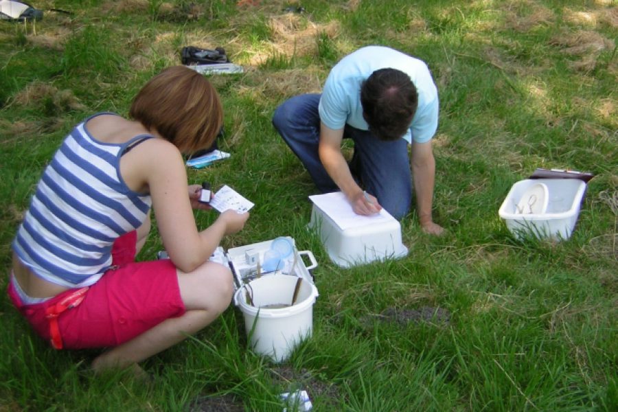 weiss-ersatz_2_02-jpg weiss-ersatz_2_02-jpg