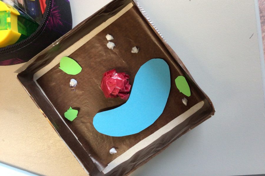 Zell-Modelle_2021_08 Zell-Modelle_2021_08